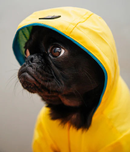 Selecting the Right Rainwear to Weather the Storm