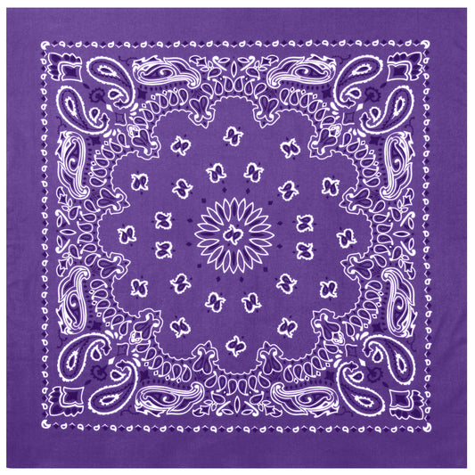 Purple Paisley Trainmen Bandana 6-Pack Dust Mask Headband Skull Cap 22"x22"