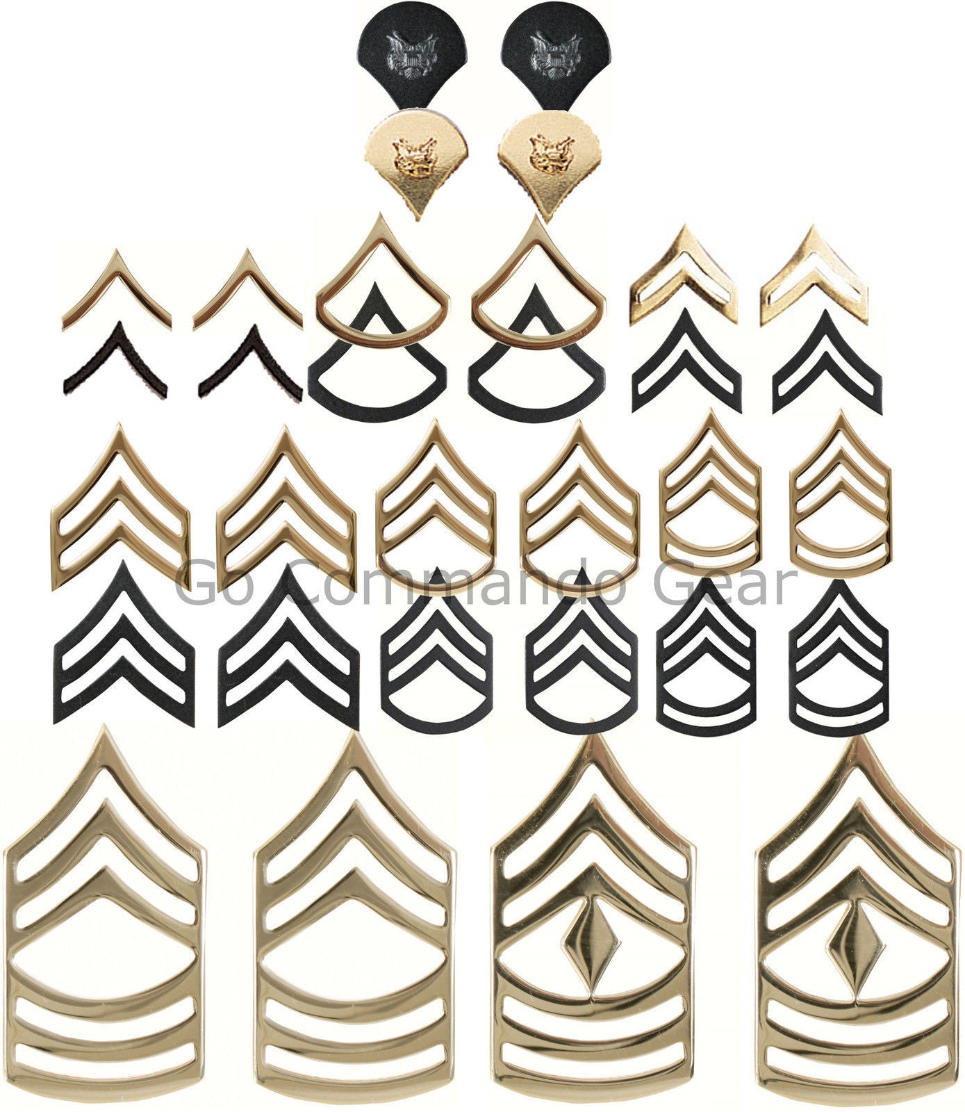 Subdued or Gold Polish Rank Insignia
