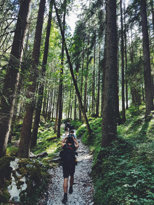 Hiking and Trailing Action