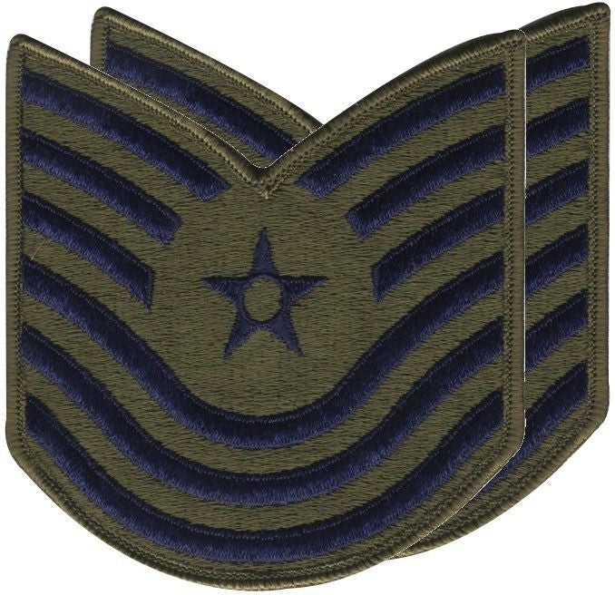 USAF Master Sgt/Large Subdued